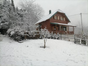 Apartment Dulovine